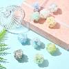 10Pcs 10 Colors Resin Beads RESI-FS0002-24A-7