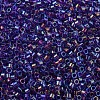 MIYUKI Delica Beads X-SEED-J020-DB1755-3