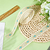 10Yards Embroidery Polyester Ribbons OCOR-GF0004-85C-3
