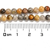 Natural Crazy Lace Agate Round Bead Strands G-M272-03-4mm-2