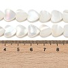 Natural Freshwater Shell Beads Strands SHEL-K010-04-4