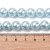 Electroplated Shell Pearl Beads Strands BSHE-G041-10mm-03-4