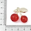 Alloy & Acrylic Pendants PALLOY-S053-01LG-A-3