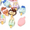 Opaque Resin Imitation Food Cabochons RE-CBAC151-02-2