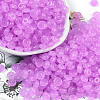 Transparent Colours Glass Seed Beads X1-SEED-P008-01B-04-1