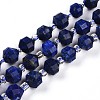 Natural Lapis Lazuli Beads Strands G-O201B-25-1-1