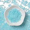 Glass Seed Beads X1-SEED-H002-E-A1411-2