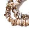 Natural Freshwater Shell Beads Strands X-SHEL-A006-05-3