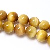 Natural Gold Tiger Eye Beads Strands X-G-C076-12mm-1AA-1