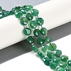 Natural Green Onyx Agate(Dyed & Heated) Beads Strands G-N342-05-2