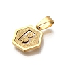 304 Stainless Steel Charms LS-STAS-H227-01G-B-2