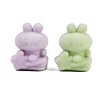 Flocky Opaque Acrylic Beads MACR-C036-12-2