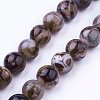 Natural Agate Bead Strands G-P289-02D-8mm-1