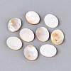 Natural Freshwater Shell Cabochons SHEL-S276-134A-01-1-1