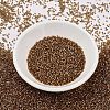 MIYUKI Delica Beads X-SEED-J020-DB2524-2