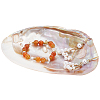 Natural Shell Ring Holder DJEW-WH0001-36-1