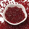 Spray Painted Glass Seed Beads SEED-F005-11A-02-2