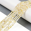 Natural Shell Pearl Beads Strands BSHE-H109-12A-2