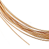 1 Roll 925 Sterling Silver Wire STER-BC0001-03A-1