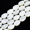 Natural Trochid Shell/Trochus Shell Beads Strands SSHEL-N034-135A-01-1