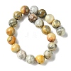 Natural Crazy Lace Agate Round Bead Strands G-M272-03-10mm-4