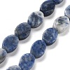 Natural Blue Spot Jasper Beads Strands G-P559-B26-01-1