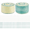 Segment Dyed Knitting Yarn DIY-TAC0033-03D-1