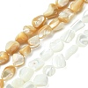 2 Strands 2 Colors Natural Shell Beads Strands SHEL-CJ0001-35-1