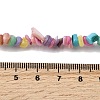 Natural Freshwater Shell Beads SHEL-B003-01I-4
