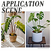 16Pcs 4 Styles PP Plastic Plant Holder AJEW-NB0008-51-5