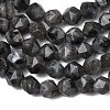 Natural Larvikite Beads Strands G-Z119-A32-01-5