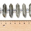 Natural Labradorite Double Terminated Point Beads Strands G-H069-B04-01-5