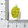 Grape Brass Acrylic Pendants OACR-R006-05G-06-3