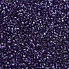 MIYUKI Delica Beads SEED-MY11-DB1756-3