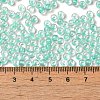 6/0 Transparent Colours Glass Seed Beads SEED-P006-01A-12-4