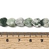 Natural Green Spot Jasper  Beads Strands G-M403-A22-03-5