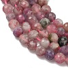 Natural Plum Blossom Tourmaline Beads Strands G-G927-22A-01-3