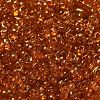 Spray Painted Glass Seed Beads SEED-F005-05A-03-3