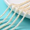 Grade A Natural Cultured Freshwater Pearl Beads Strands PEAR-L003-A-03-5