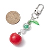 Tomato Resin Pendant Decoration HJEW-JM02598-3