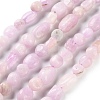 Natural Kunzite Beads Strands G-P497-01C-36-1