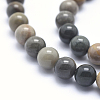 Natural Ocean Agate/Ocean Jasper Beads Strands G-G716-03-6mm-5