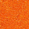 8/0 Glass Seed Beads X-SEED-A004-3mm-9B-3