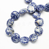 Natural Blue Spot Jasper Bead Strands G-S110-13-2