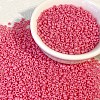 Opaque Colours Glass Seed Beads PW-WG6EF65-04-1