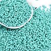Baking Paint Glass Seed Beads X1-SEED-K010-A19-1
