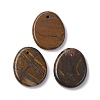 Natural Tiger Iron Pendants G-C110-07B-1
