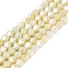 Anti-Tarnish Electroplate Bicone Glass Beads Strands EGLA-T021-4mm-16-14-1