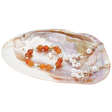 Natural Shell Ring Holder DJEW-WH0001-36