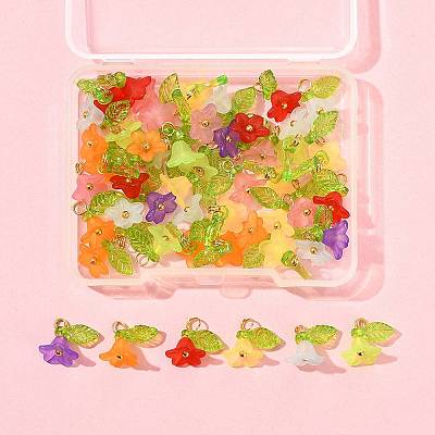 50Pcs Transparent Acrylic Pendants PALLOY-FS00043-06-1